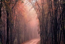 开云-湖人107：皇马3！这场元宇宙德比，暴露了足球的致命短板