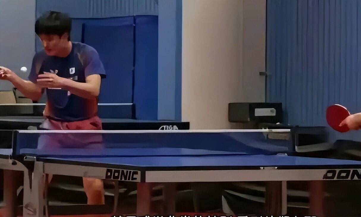 开云体育-比利时乒乓球队翻盘瑞典乒乓球队，张本智和统治全场的简单介绍