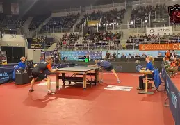 开云体育平台APP-日本乒乓球队逆转法国乒乓球队，王皓关键制胜