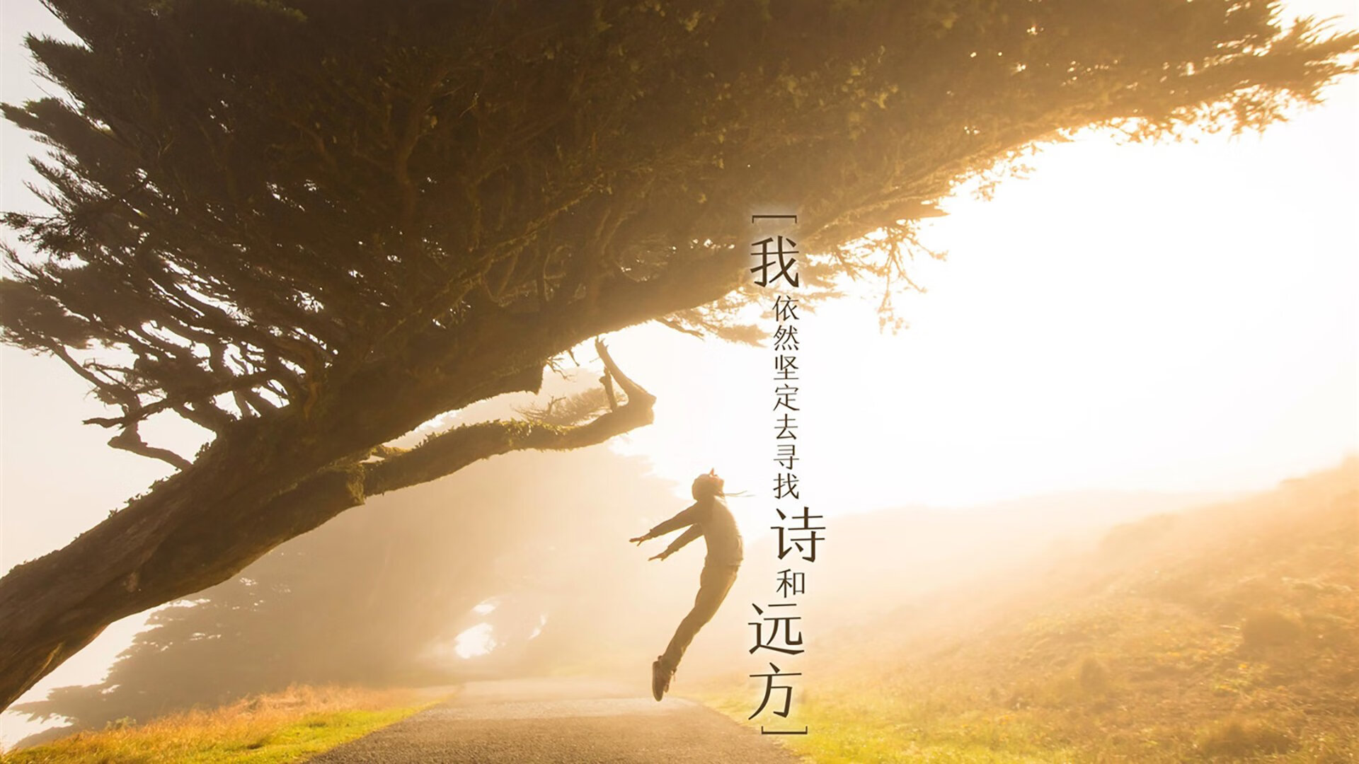 开云体育中国-涅槃之火，辛杜雷霆一击点燃印度队历史性胜利