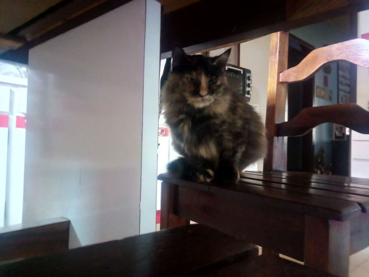 开云体育APP下载-友谊赛爆冷，中国国家队险胜勒沃库森，姆巴佩状态火热难挽败局