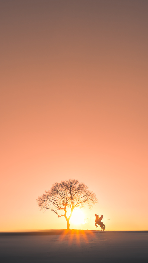 猛龙出闸,奇才失灵,爱德华兹用全场最佳表现写下无争议的胜利宣言