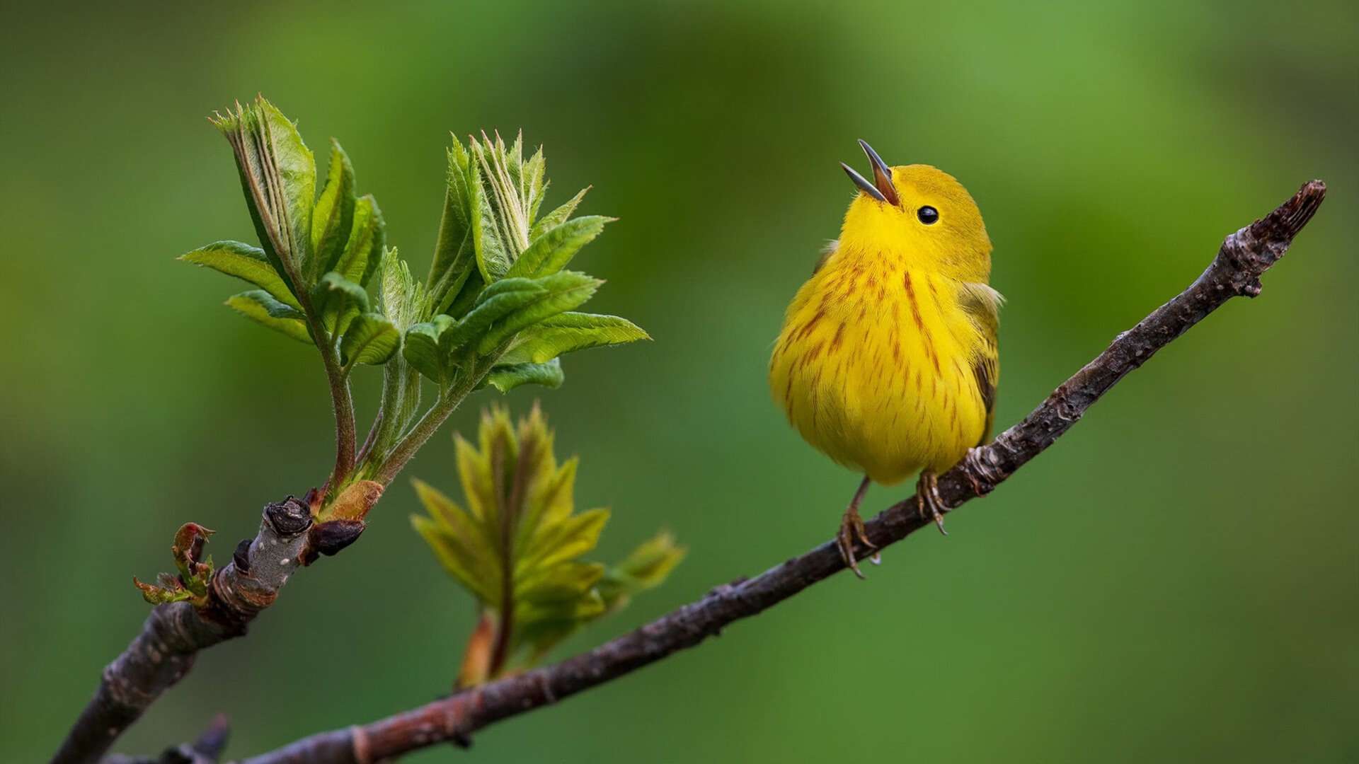 开云体育登录-欧陆棋局上的新将军，皇家社会强势拿下挪威，德里赫特成为关键先生