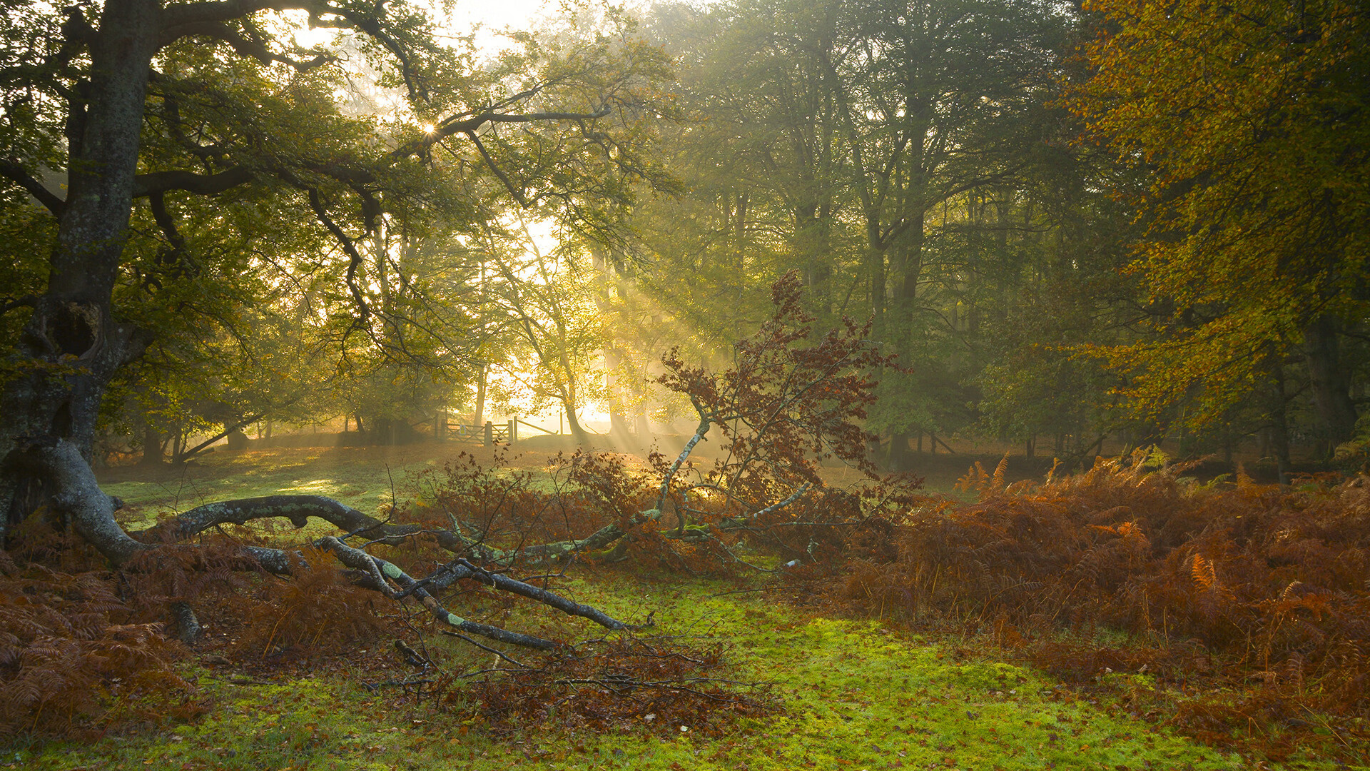 开云体育app-唯一密钥，欧冠淘汰赛之夜，拉什福德以持续杀伤改写方程式
