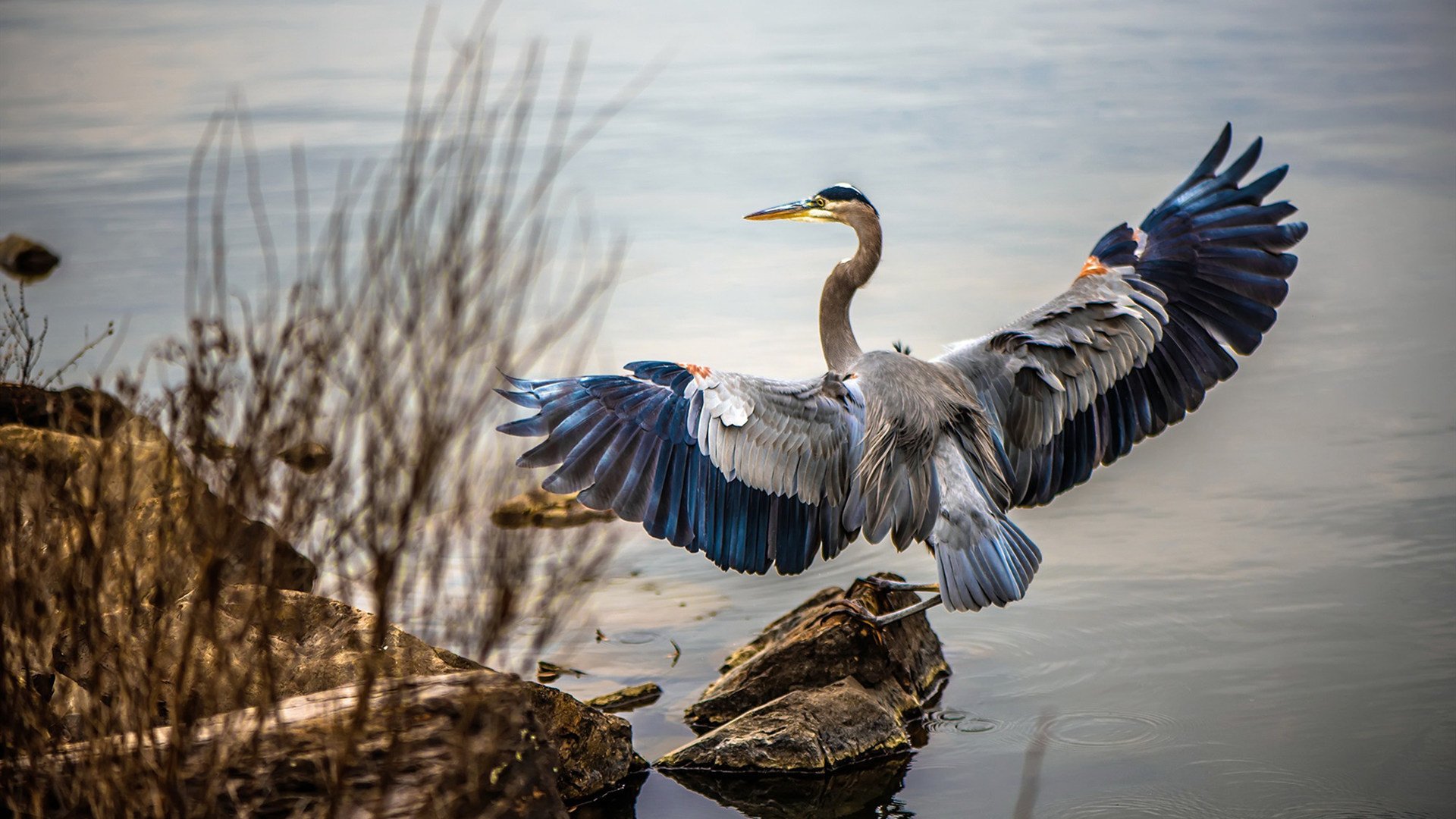 开云体育中国-最短的夜，最长的路，厄德高与北境传说在墨西哥城的续写